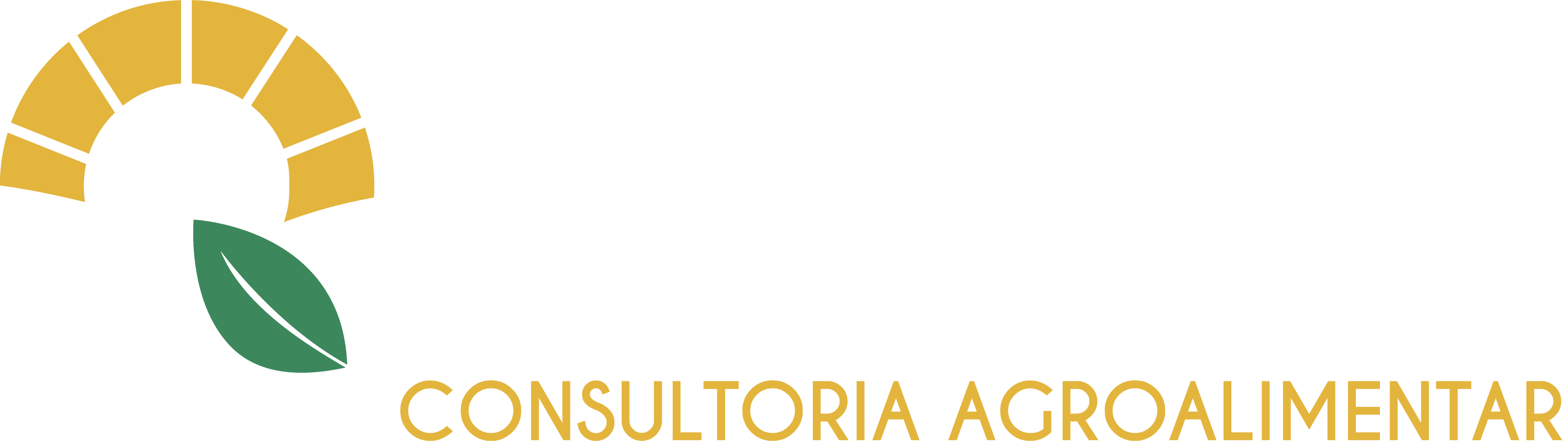 Qualital Logo